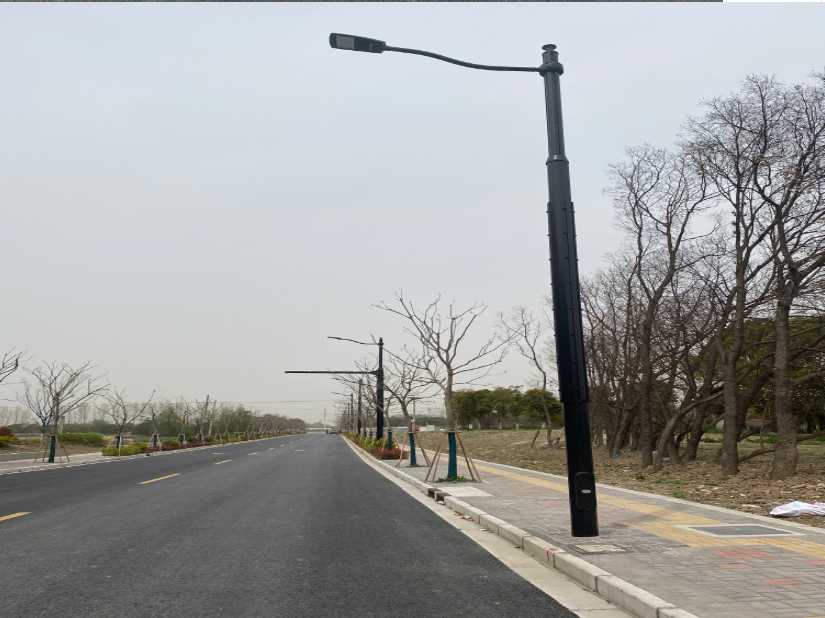 环翠区上海综合杆 太阳能路灯工程